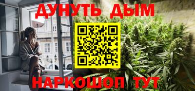 шишки Можга