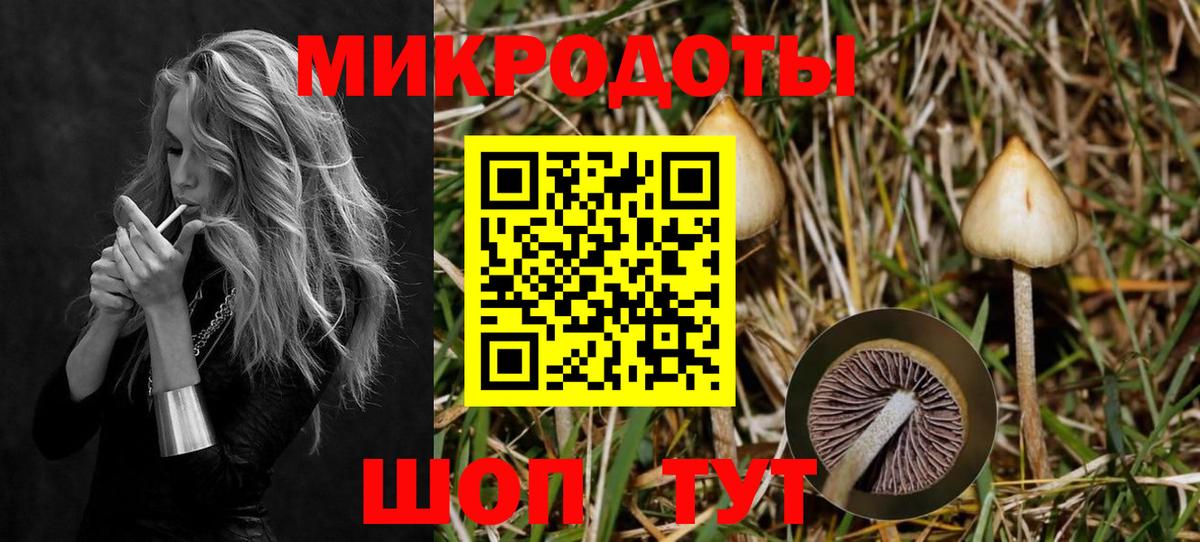 Галлюциногенные грибы прущие грибы  Псилоцибиновые грибы GOLDEN TEACHER  Джанкой  Вход с VPN 